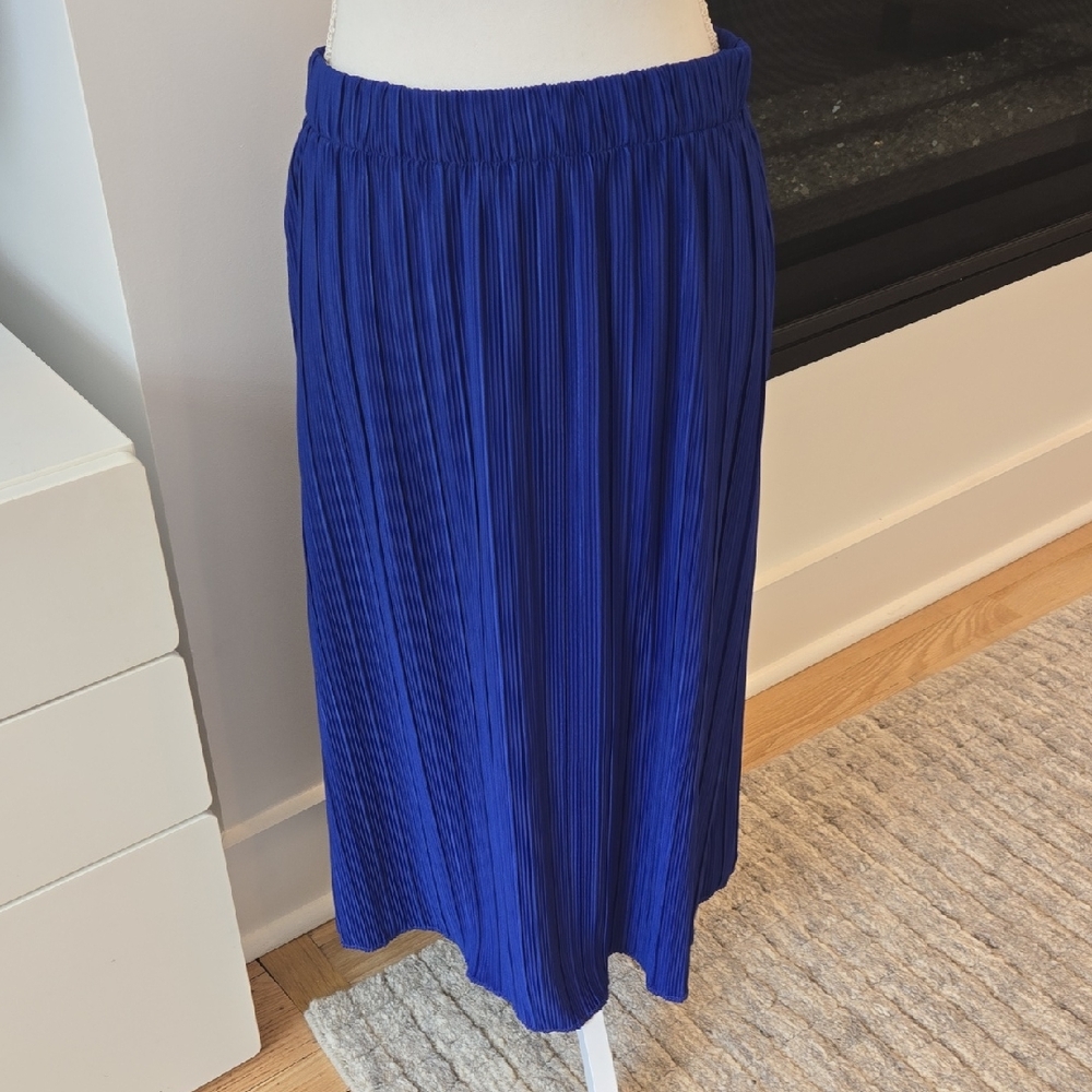 Blue Pleated Women's Skirt